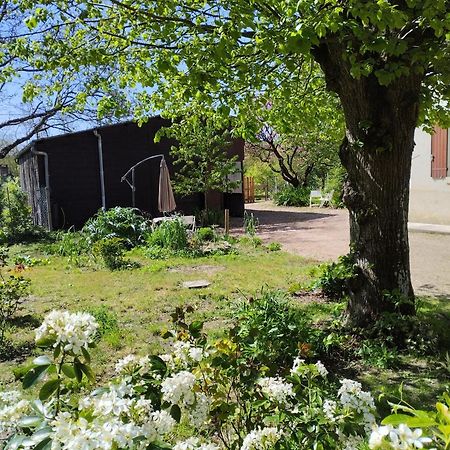 La Jolie Ruche Villa Saint-Georges-sur-Cher Eksteriør billede
