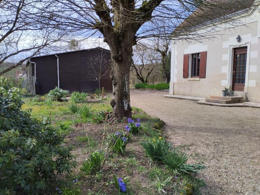 La Jolie Ruche Villa Saint-Georges-sur-Cher Eksteriør billede